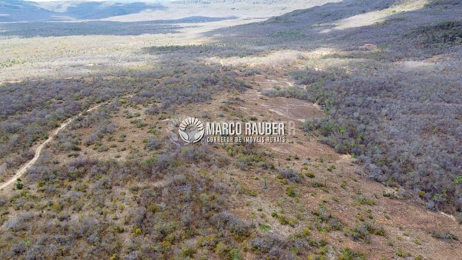 Terra para pecuaria e extração de minerio — foto 13