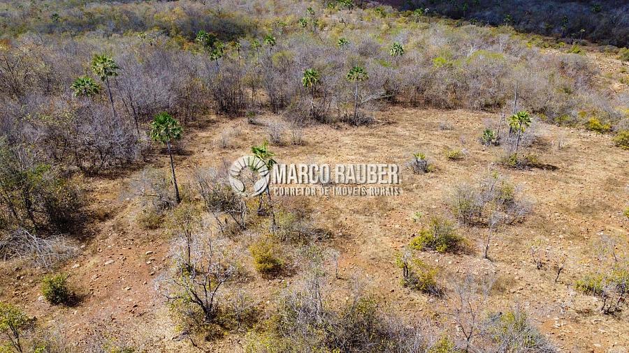 Terra para pecuaria e extração de minerio — foto 14