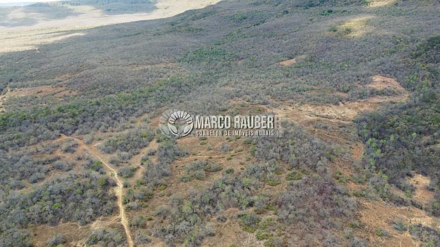 Terra para pecuaria e extração de minerio — foto 3