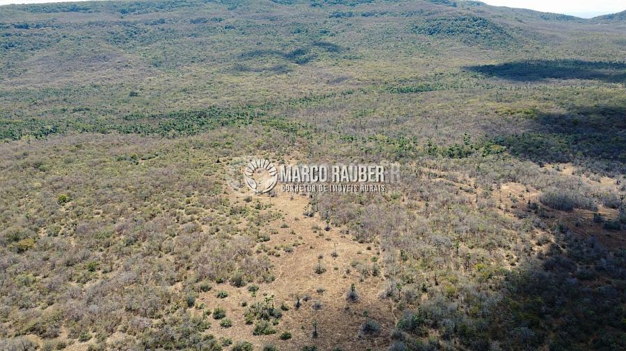 Terra para pecuaria e extração de minerio — foto 4