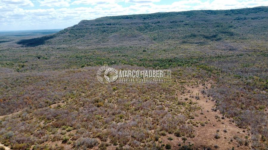 Terra para pecuaria e extração de minerio — foto 5