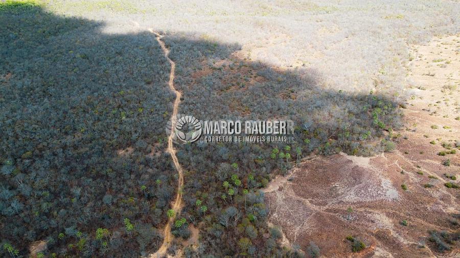 Terra para pecuaria e extração de minerio — foto 6