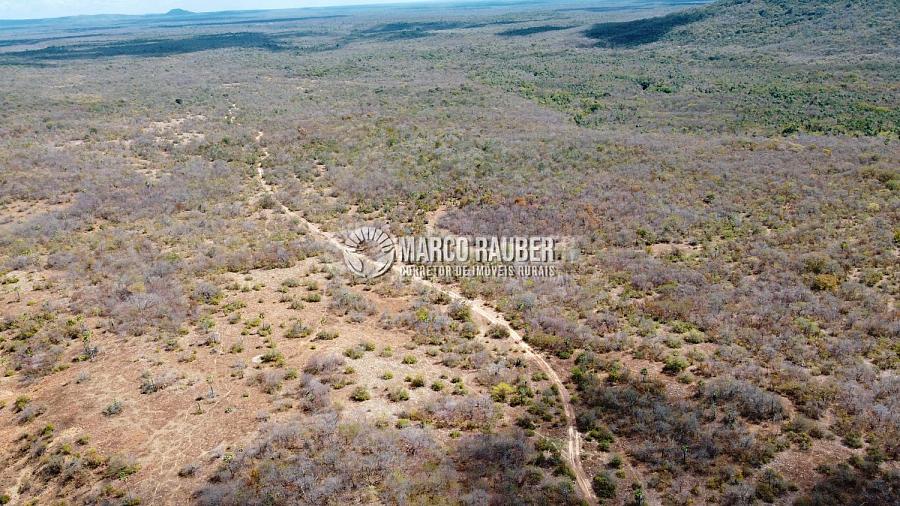 Terra para pecuaria e extração de minerio — foto 7