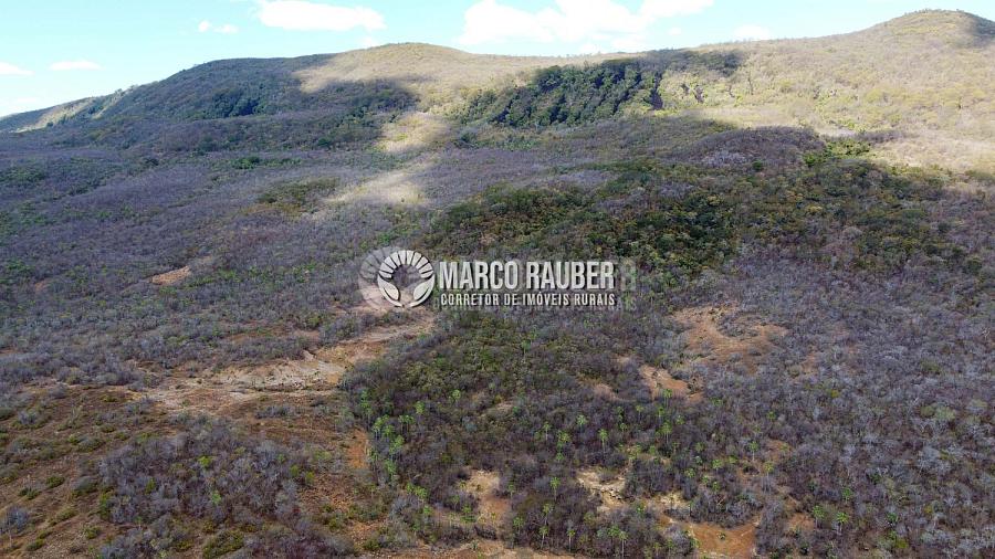 Terra para pecuaria e extração de minerio — foto 8