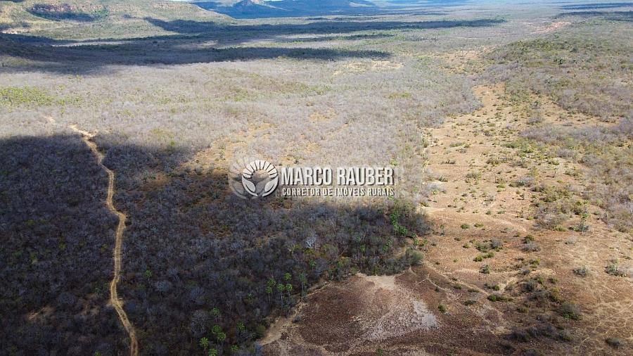 Terra para pecuaria e extração de minerio — foto 9