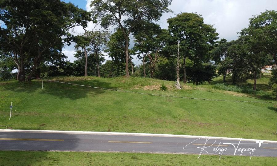 Aldeia do Vale | 2.257,28 m� | Plateau Elevado | Vista Panor�mica Definitiva 1