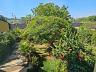 Aldeia do Vale | Goi�nia | 4 Su�tes | Piscina Aquecida | Quintal com �rvores Frut�feras 7