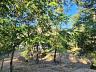 Aldeia do Vale | 3.527,08 m� | Lado Alto do Condom�nio | Vista para �rea Verde 3