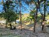 Aldeia do Vale | 3.527,08 m� | Lado Alto do Condom�nio | Vista para �rea Verde 6