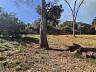 Aldeia do Vale | Goi�nia | Lote Residencial | Vista Definitiva | Topografia em Aclive 8