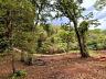 Aldeia do Vale | Goi�nia | Lote Residencial | Fundo de Vale | Privacidade Total 12
