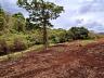 Aldeia do Vale | Goi�nia | Lote Residencial | Fundo de Vale | Privacidade Total 9