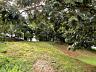 Aldeia do Vale | Plateau Pronto | Terreno Exclusivo | Pr�-Projeto Assinado | Localiza��o Privilegiada 4