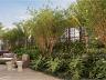 Arq Opus | Setor Bueno | 462 m� | 4 su�tes | Penthouse frente Parque Vaca Brava 4