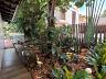 Aldeia do Vale | Goi�nia | 499 m� | 4 Su�tes | Casa de Esquina Mobiliada 33