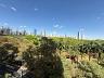Alameda Gran Reserva | Setor Oeste | 213,90 m� | 4 Su�tes | Vista Definitiva 30