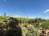 Alameda Gran Reserva | Setor Oeste | 213,90 m� | 4 Su�tes | Vista Definitiva 31