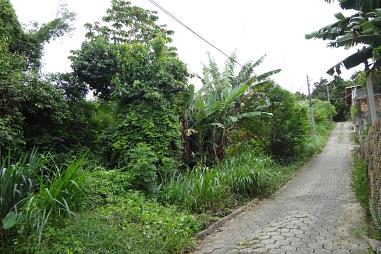 ÁREA NO SACO GRANDE FLORIANÓPOLIS