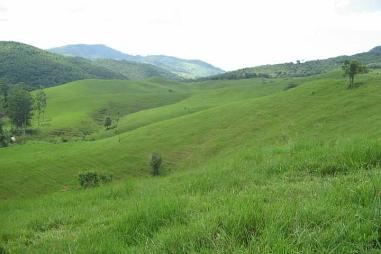 FAZENDA EM IMARUI - SANTA CATARINA